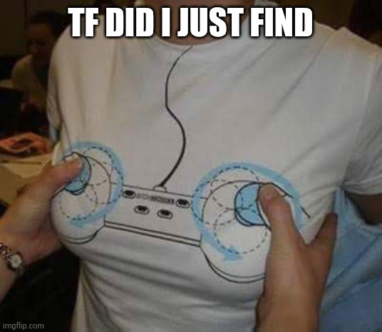 Gamer girls | TF DID I JUST FIND | image tagged in gamer girls | made w/ Imgflip meme maker