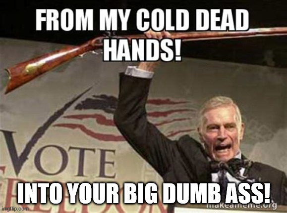 Cold dead hands.... | INTO YOUR BIG DUMB ASS! | image tagged in nra,guns,2nd amendment,cold dead hands,gun nuts | made w/ Imgflip meme maker