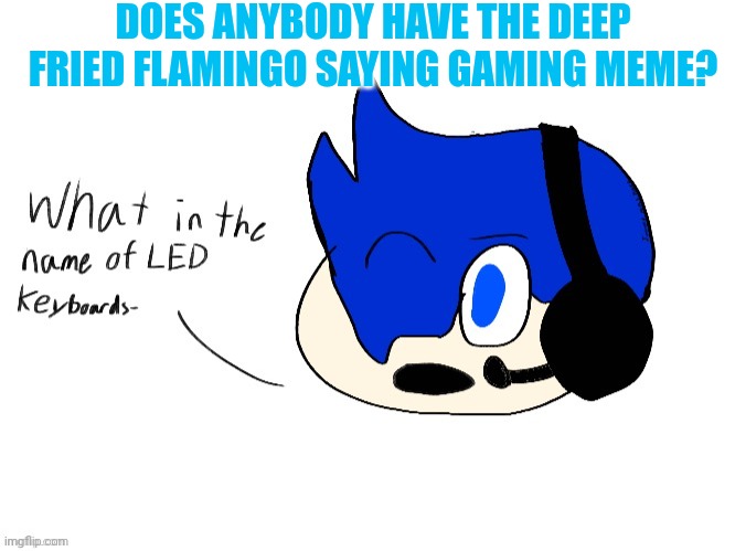 What in the name of LED keyboards- | DOES ANYBODY HAVE THE DEEP FRIED FLAMINGO SAYING GAMING MEME? | image tagged in what in the name of led keyboards- | made w/ Imgflip meme maker