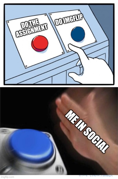 two buttons 1 blue |  DO IMGFLIP; DO THE ASSIGNMENT; ME IN SOCIAL | image tagged in two buttons 1 blue | made w/ Imgflip meme maker