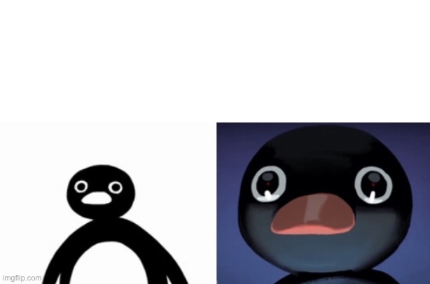 So I decided to make a new temp based off of a popular meme | image tagged in noot noot penguin | made w/ Imgflip meme maker