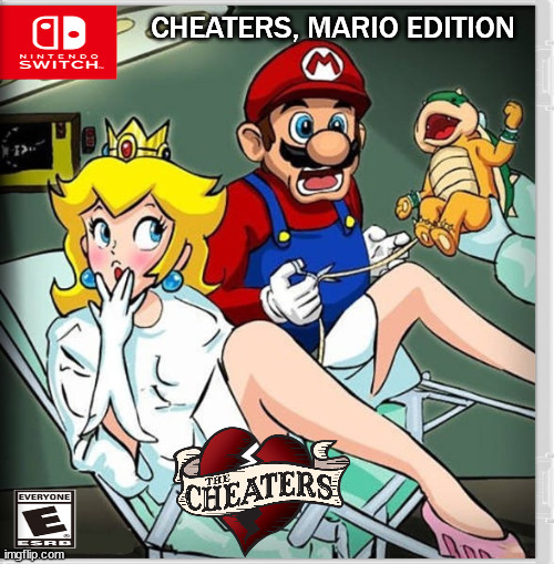 CHEATERS, MARIO EDITION | image tagged in fake,nintendo switch | made w/ Imgflip meme maker