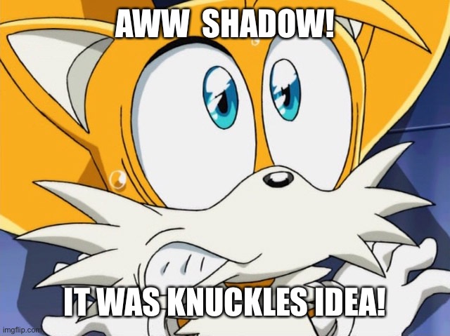 Scared tails | AWW  SHADOW! IT WAS KNUCKLES IDEA! | image tagged in scared tails | made w/ Imgflip meme maker