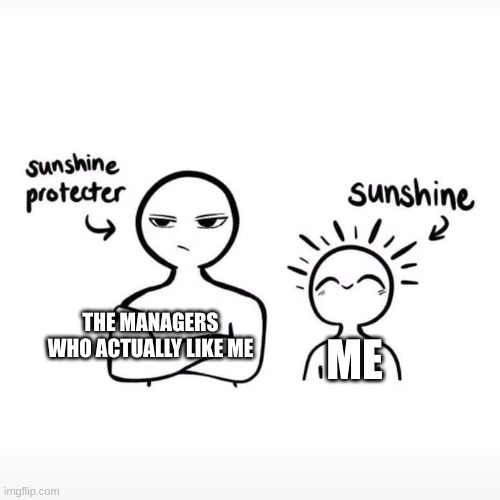 Work | THE MANAGERS WHO ACTUALLY LIKE ME; ME | image tagged in sunshine protector | made w/ Imgflip meme maker