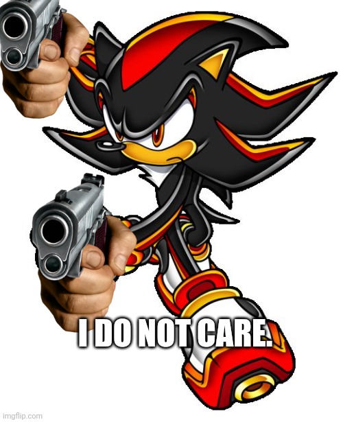 Shadow the hedgehog | I DO NOT CARE. | image tagged in shadow the hedgehog | made w/ Imgflip meme maker