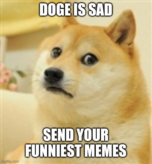 Dogecoin |  DOGE IS SAD; SEND YOUR FUNNIEST MEMES | image tagged in sad doge | made w/ Imgflip meme maker