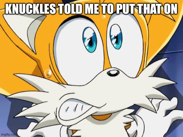 Scared tails | KNUCKLES TOLD ME TO PUT THAT ON | image tagged in scared tails | made w/ Imgflip meme maker