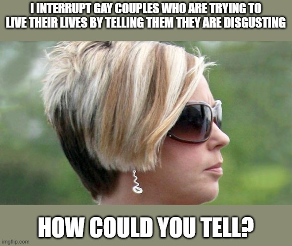 homophobic karens | I INTERRUPT GAY COUPLES WHO ARE TRYING TO LIVE THEIR LIVES BY TELLING THEM THEY ARE DISGUSTING; HOW COULD YOU TELL? | image tagged in karen,homophobic,homophobe,karens | made w/ Imgflip meme maker