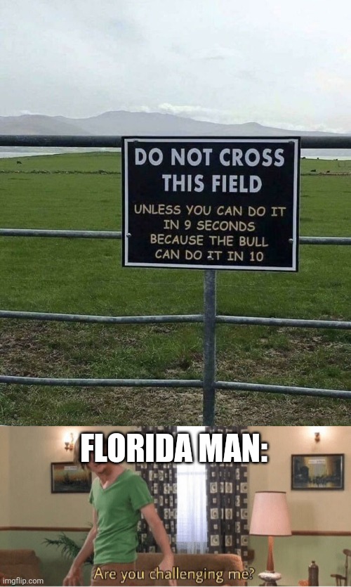 _ | FLORIDA MAN: | image tagged in are you challenging me,florida man,bull,signs | made w/ Imgflip meme maker