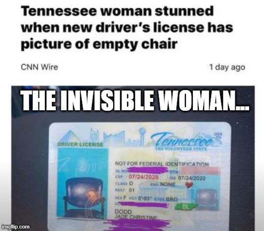 Or Maybe a Vampire... | THE INVISIBLE WOMAN... | image tagged in you had one job | made w/ Imgflip meme maker