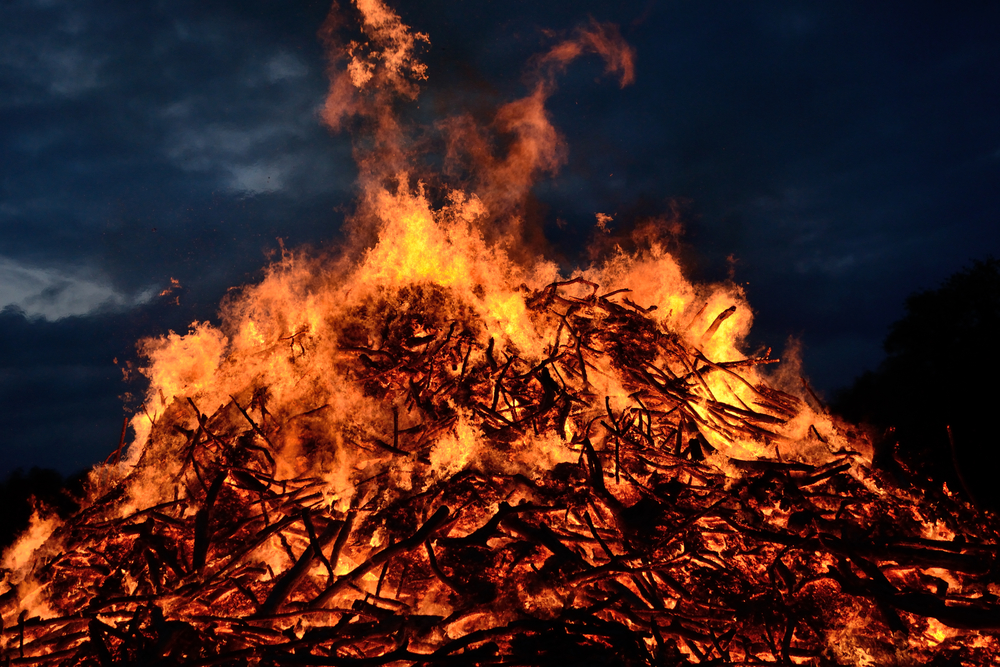 High Quality catalog of flesh Blank Meme Template