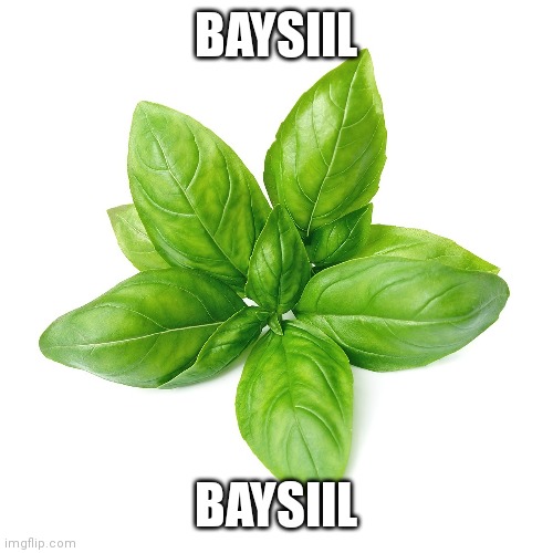 BAYSIIL; BAYSIIL | image tagged in basil | made w/ Imgflip meme maker