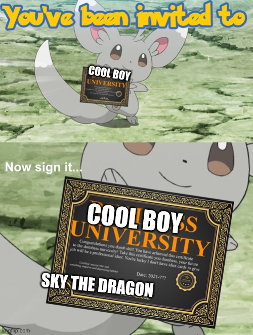 Correct ( I cannot comment) | COOL BOY; COOL BOY; SKY THE DRAGON | image tagged in you've been invited to dumbass university | made w/ Imgflip meme maker