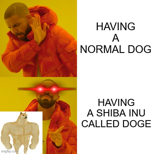 Drake Hotline Bling Meme | HAVING A NORMAL DOG HAVING A SHIBA INU CALLED DOGE | image tagged in memes,drake hotline bling | made w/ Imgflip meme maker
