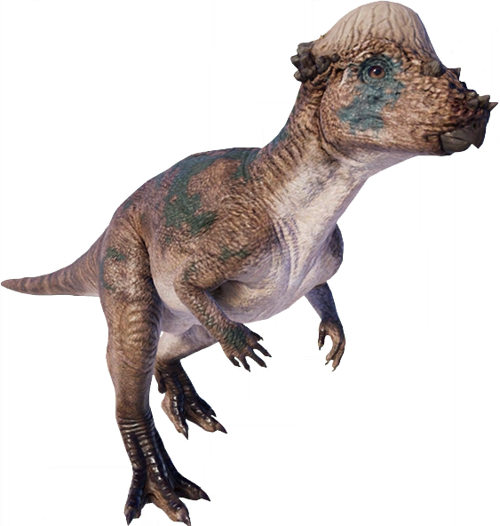 Pachycephalosaurus (TLW Design) Blank Meme Template