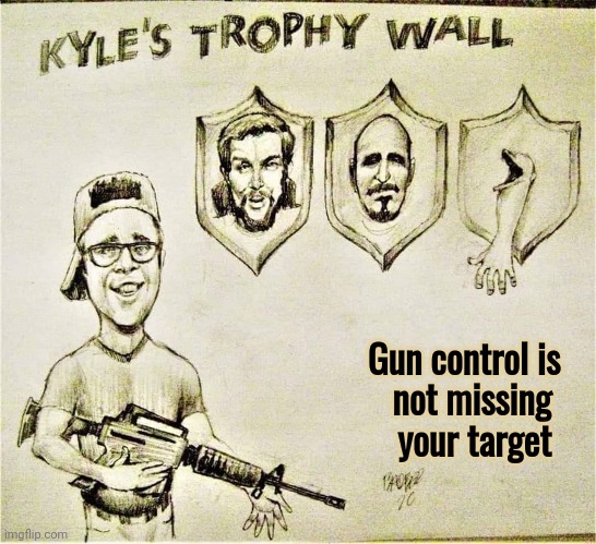 Gun control is  
not missing   
your target | made w/ Imgflip meme maker