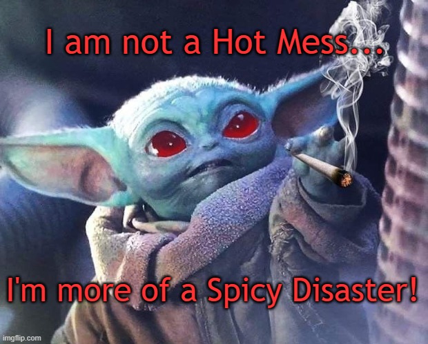 Hot Mess Nope | I am not a Hot Mess... I'm more of a Spicy Disaster! | image tagged in spicy memes | made w/ Imgflip meme maker
