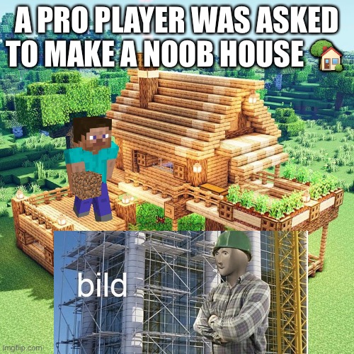minecraft house | A PRO PLAYER WAS ASKED TO MAKE A NOOB HOUSE 🏡 | image tagged in minecraft house | made w/ Imgflip meme maker