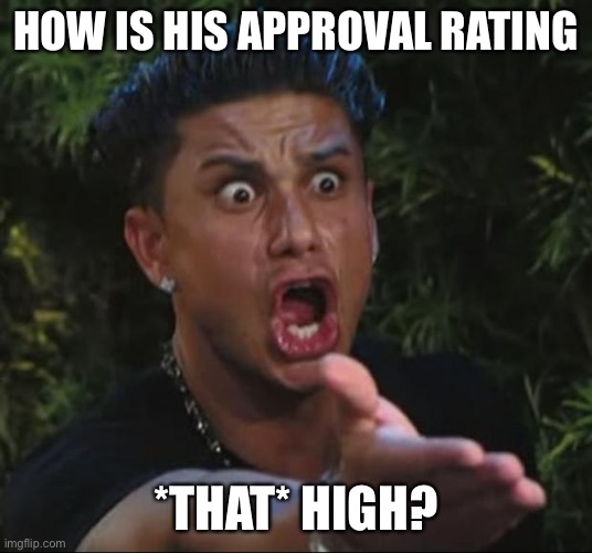 DJ Pauly D Meme | HOW IS HIS APPROVAL RATING *THAT* HIGH? | image tagged in memes,dj pauly d | made w/ Imgflip meme maker