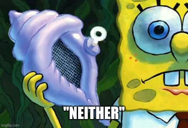 Magic conch shell | "NEITHER" | image tagged in magic conch shell | made w/ Imgflip meme maker