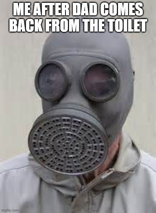 fatal | ME AFTER DAD COMES BACK FROM THE TOILET | image tagged in gas mask | made w/ Imgflip meme maker