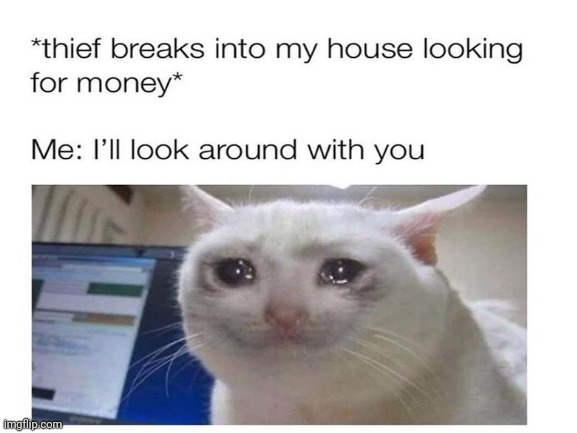 oof | image tagged in sad cat | made w/ Imgflip meme maker