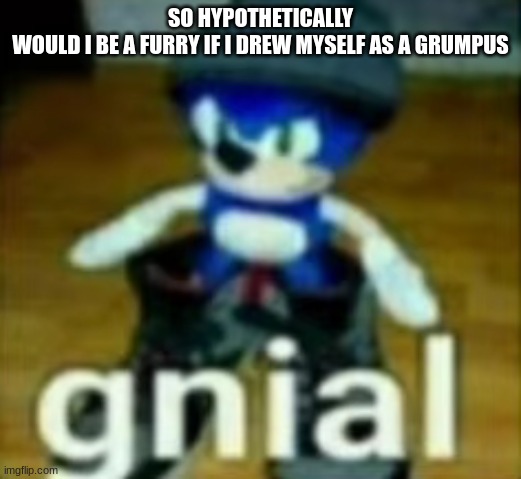 gnial | SO HYPOTHETICALLY
WOULD I BE A FURRY IF I DREW MYSELF AS A GRUMPUS | image tagged in gnial | made w/ Imgflip meme maker