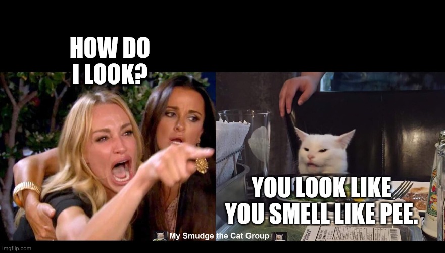 HOW DO I LOOK? YOU LOOK LIKE YOU SMELL LIKE PEE. | image tagged in smudge the cat,woman yelling at cat | made w/ Imgflip meme maker