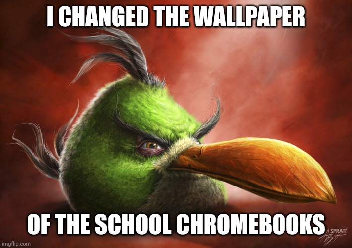 Idk | I CHANGED THE WALLPAPER; OF THE SCHOOL CHROMEBOOKS | image tagged in realistic angry bird | made w/ Imgflip meme maker