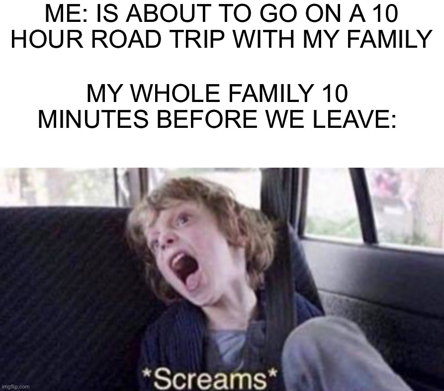 Fights always happen before a trip |  ME: IS ABOUT TO GO ON A 10 HOUR ROAD TRIP WITH MY FAMILY; MY WHOLE FAMILY 10 MINUTES BEFORE WE LEAVE: | image tagged in memes,funny,true story,road trip,pain,summer | made w/ Imgflip meme maker