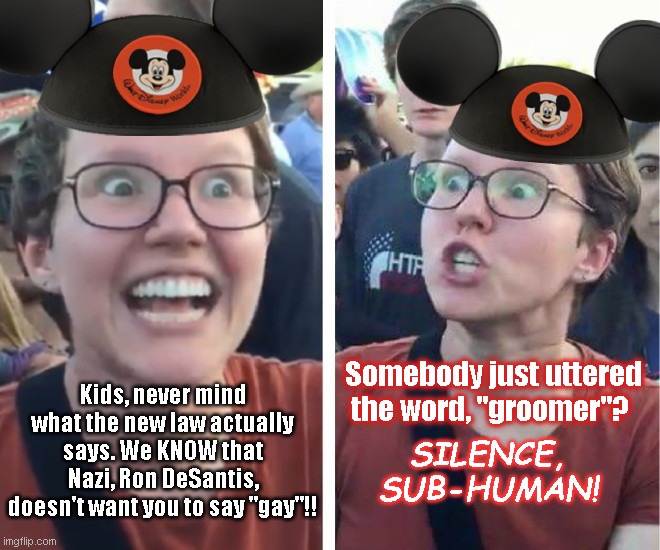 Disney and the PC Word Police goose step it over the "g" words |  Somebody just uttered the word, "groomer"? Kids, never mind what the new law actually says. We KNOW that Nazi, Ron DeSantis, doesn't want you to say "gay"!! SILENCE, SUB-HUMAN! | image tagged in leftist disney hypocrisy,propaganda,hypocrisy,nazis,lgbtq,the g words | made w/ Imgflip meme maker