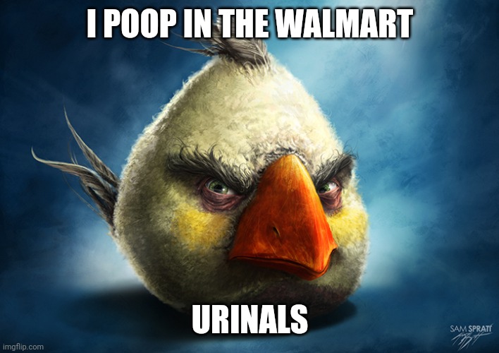 Realistic Angry Bird (Mathilda) | I POOP IN THE WALMART; URINALS | image tagged in realistic angry bird mathilda | made w/ Imgflip meme maker
