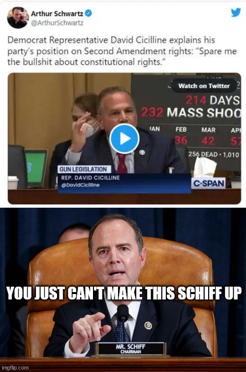 Democrats believe your constitutional rights are BS | YOU JUST CAN'T MAKE THIS SCHIFF UP | image tagged in crooked,democrats | made w/ Imgflip meme maker