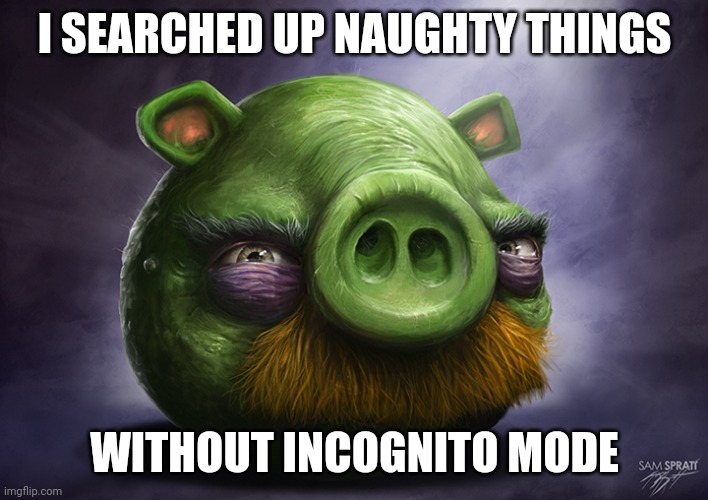 Realistic angry birds | I SEARCHED UP NAUGHTY THINGS; WITHOUT INCOGNITO MODE | image tagged in realistic angry birds | made w/ Imgflip meme maker