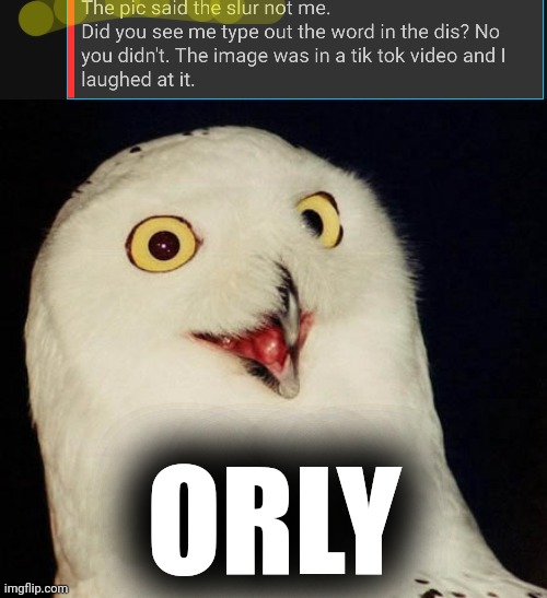 ORLY | image tagged in orly owl | made w/ Imgflip meme maker