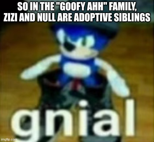 gnial | SO IN THE "GOOFY AHH" FAMILY, ZIZI AND NULL ARE ADOPTIVE SIBLINGS | image tagged in gnial | made w/ Imgflip meme maker