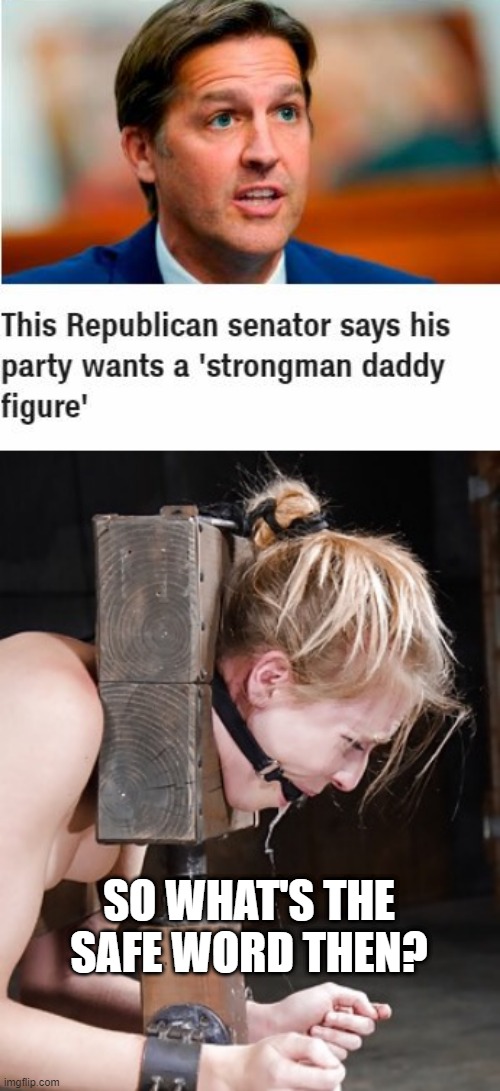 Um, This IS Politics Right? | SO WHAT'S THE SAFE WORD THEN? | image tagged in bondage bdsm | made w/ Imgflip meme maker