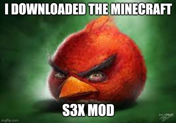 . | I DOWNLOADED THE MINECRAFT; S3X MOD | image tagged in realistic red angry birds | made w/ Imgflip meme maker