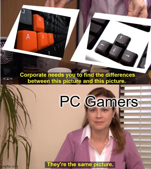 WSAD vs Cursor Keys |  PC Gamers | image tagged in memes,they're the same picture,pc gamers,pc gaming,wsad,cursor keys | made w/ Imgflip meme maker