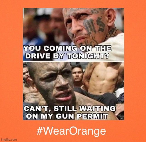 Disarming good guys won’t prevent bad guys from using guns.#WearOrange | #WearOrange | image tagged in gun control | made w/ Imgflip meme maker