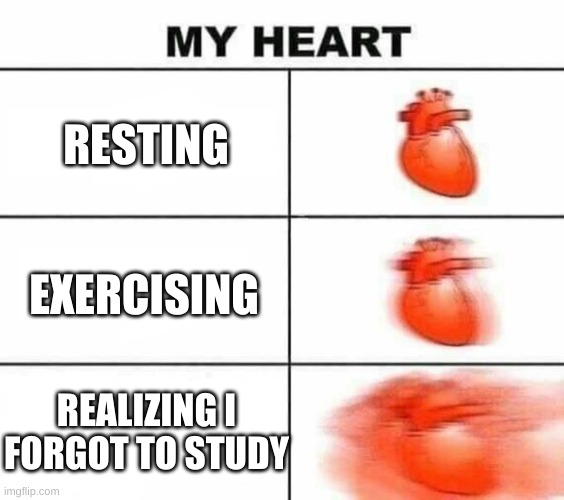 Meme 10 | RESTING; EXERCISING; REALIZING I FORGOT TO STUDY | image tagged in my heart blank | made w/ Imgflip meme maker