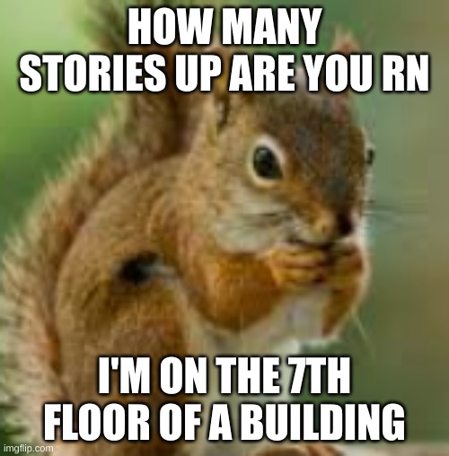 srry if this doesn't make sense | HOW MANY STORIES UP ARE YOU RN; I'M ON THE 7TH FLOOR OF A BUILDING | image tagged in kdn jkefje | made w/ Imgflip meme maker