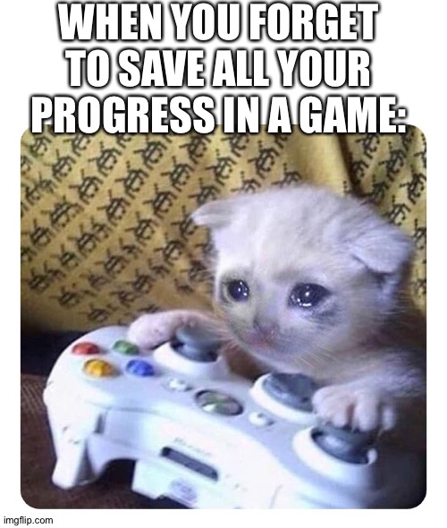 Cat gamer | WHEN YOU FORGET TO SAVE ALL YOUR PROGRESS IN A GAME: | image tagged in cat gamer,cats,gaming,sad cat,sad but true,oh shi- | made w/ Imgflip meme maker
