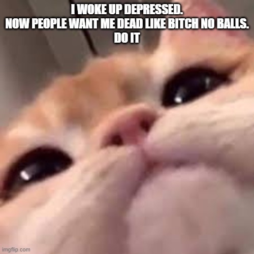 no balls | I WOKE UP DEPRESSED.
NOW PEOPLE WANT ME DEAD LIKE BITCH NO BALLS.
DO IT | made w/ Imgflip meme maker