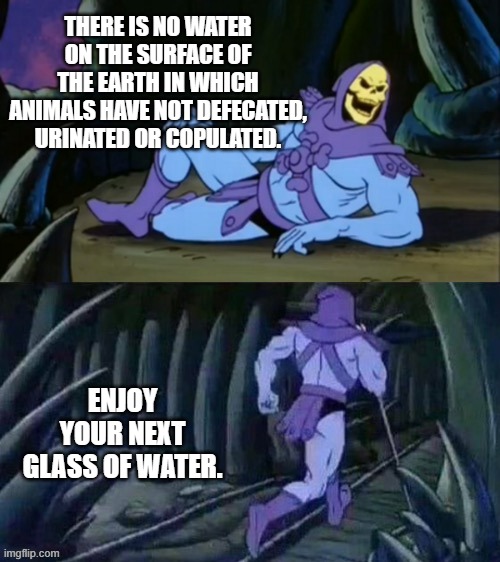 Skeletor disturbing facts |  THERE IS NO WATER ON THE SURFACE OF THE EARTH IN WHICH ANIMALS HAVE NOT DEFECATED, URINATED OR COPULATED. ENJOY YOUR NEXT GLASS OF WATER. | image tagged in skeletor disturbing facts | made w/ Imgflip meme maker