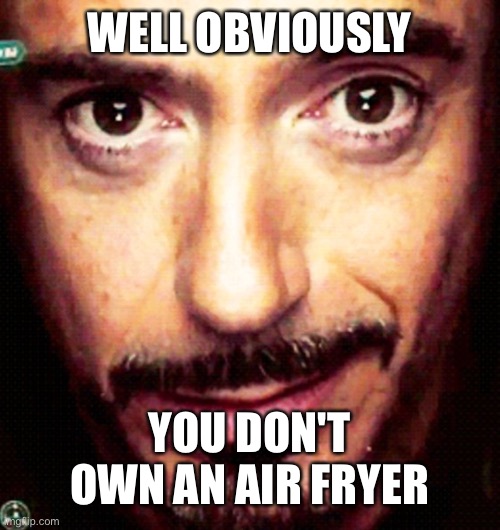 Get rekt | WELL OBVIOUSLY; YOU DON'T OWN AN AIR FRYER | image tagged in tony stark repost | made w/ Imgflip meme maker