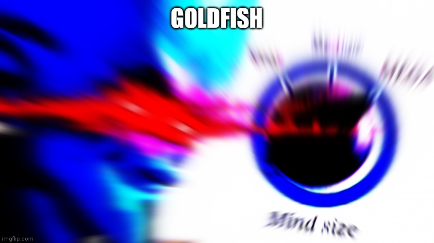 Mega mind size | GOLDFISH | image tagged in mega mind size | made w/ Imgflip meme maker