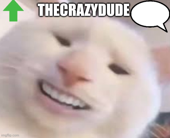 High Quality TheCrazyDude Temp 2022 Blank Meme Template