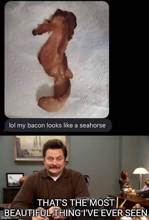 Surf and turf | THAT'S THE MOST BEAUTIFUL THING I'VE EVER SEEN | image tagged in happy ron swanson,bacon,seahorse,parks and recreation,i love bacon | made w/ Imgflip meme maker