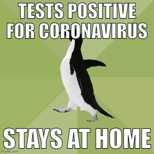 no title needed | TESTS POSITIVE FOR CORONAVIRUS; STAYS AT HOME | image tagged in memes,socially average penguin,coronavirus,boring,unfunny | made w/ Imgflip meme maker